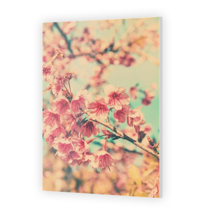 Thumbnail for Acrylic