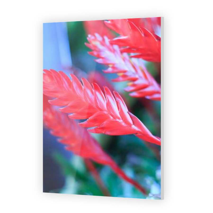 Thumbnail for Acrylic