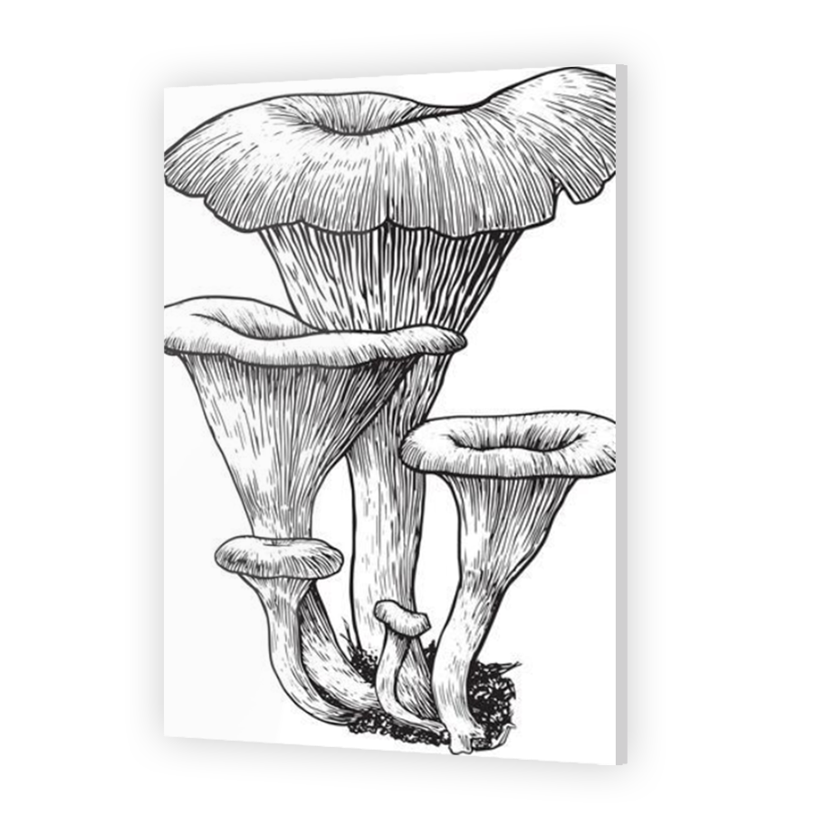 Thumbnail for Acrylic