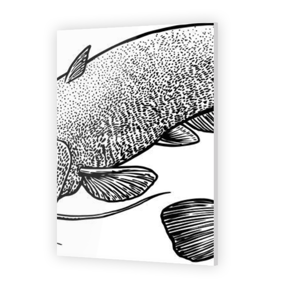 Thumbnail for Acrylic