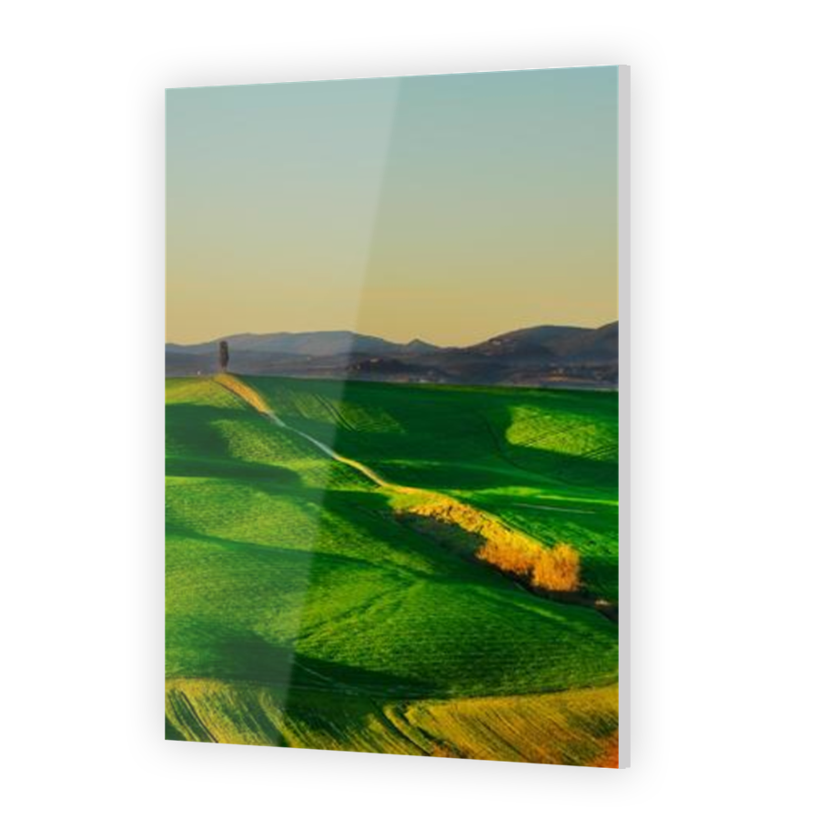 Thumbnail for Acrylic