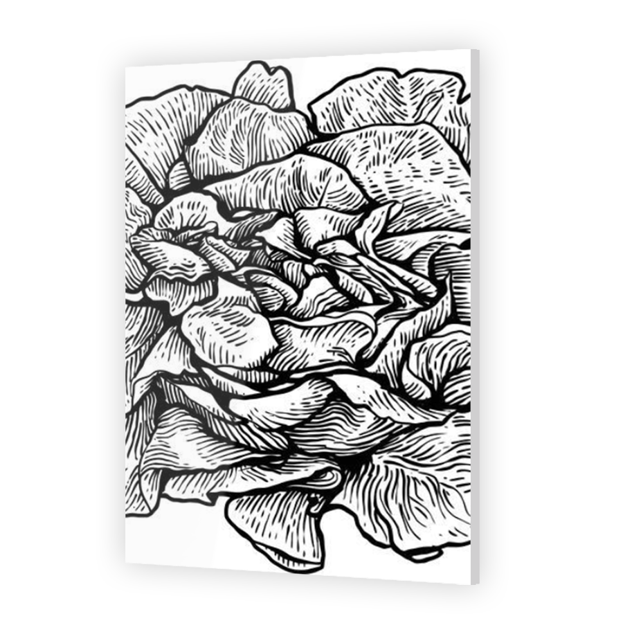 Thumbnail for Acrylic
