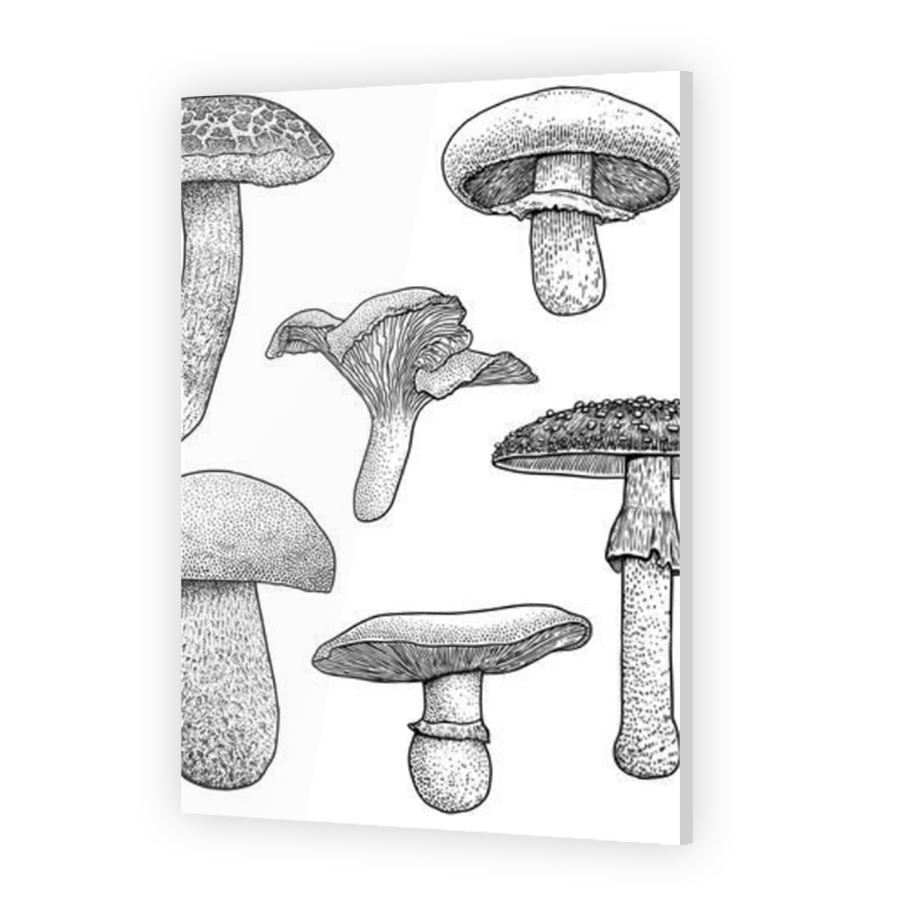 Thumbnail for Acrylic