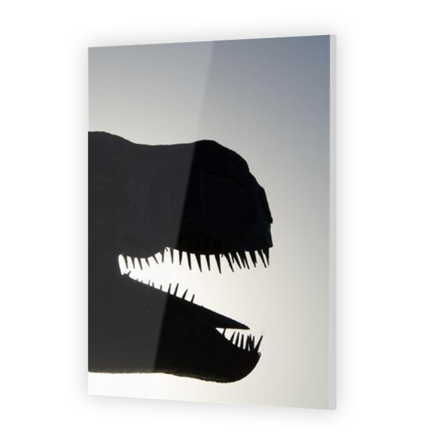 Thumbnail for Acrylic