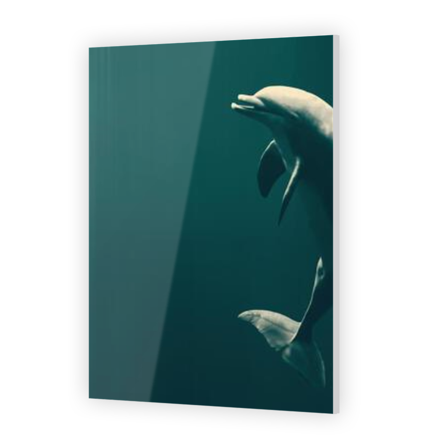 Thumbnail for Acrylic