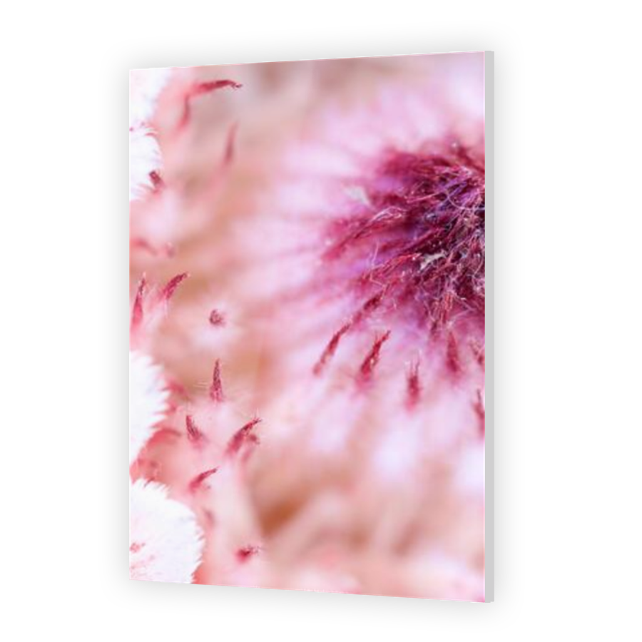 Thumbnail for Acrylic