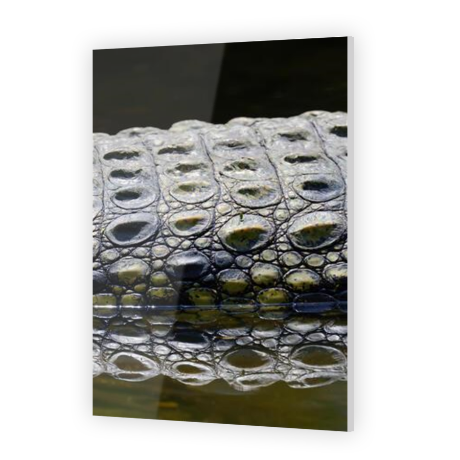 Thumbnail for Acrylic