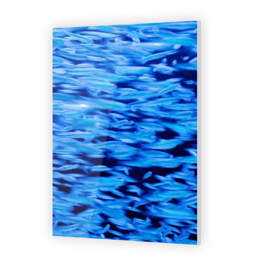 Thumbnail for Acrylic