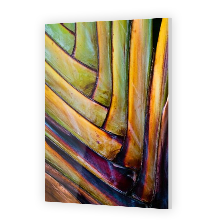 Thumbnail for Acrylic