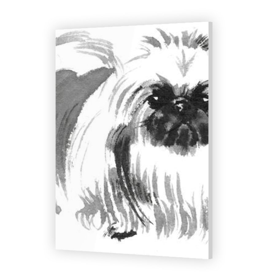 Thumbnail for Acrylic