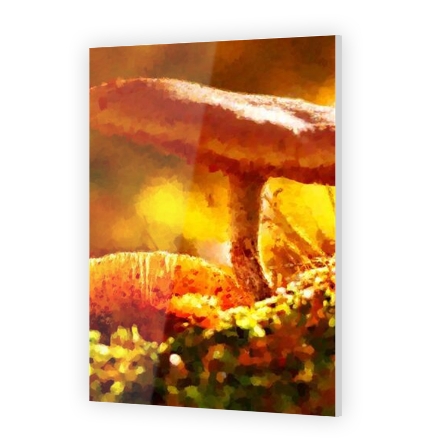 Thumbnail for Acrylic