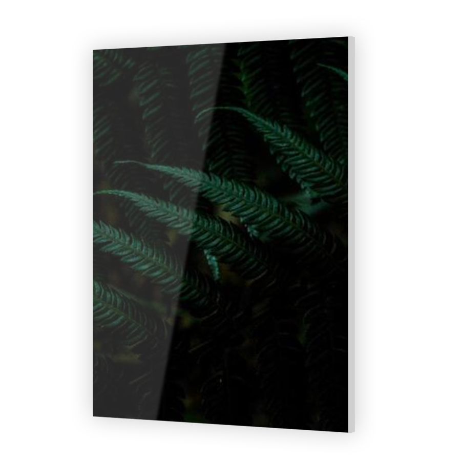 Thumbnail for Acrylic
