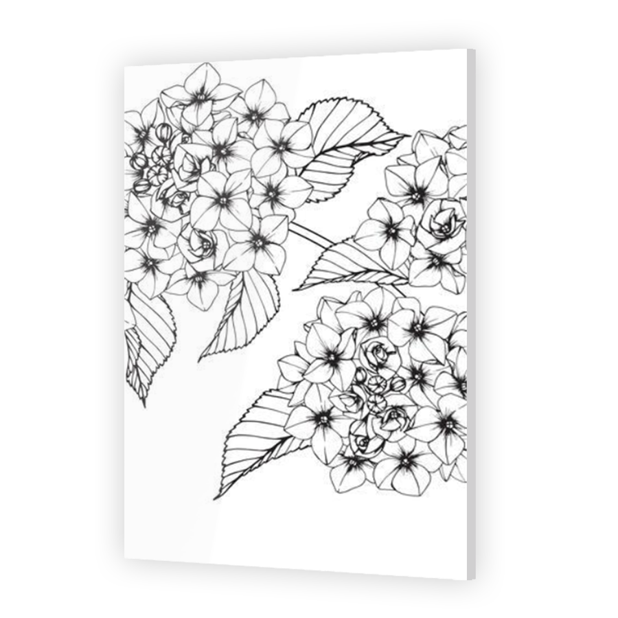 Thumbnail for Acrylic
