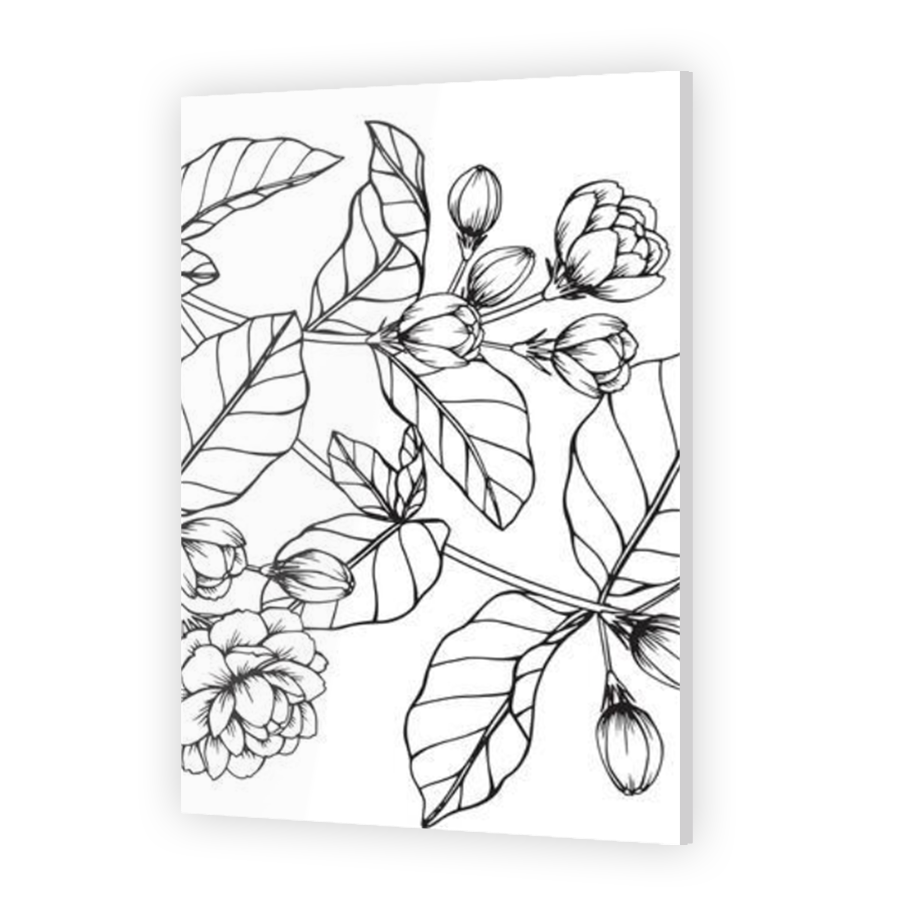 Thumbnail for Acrylic