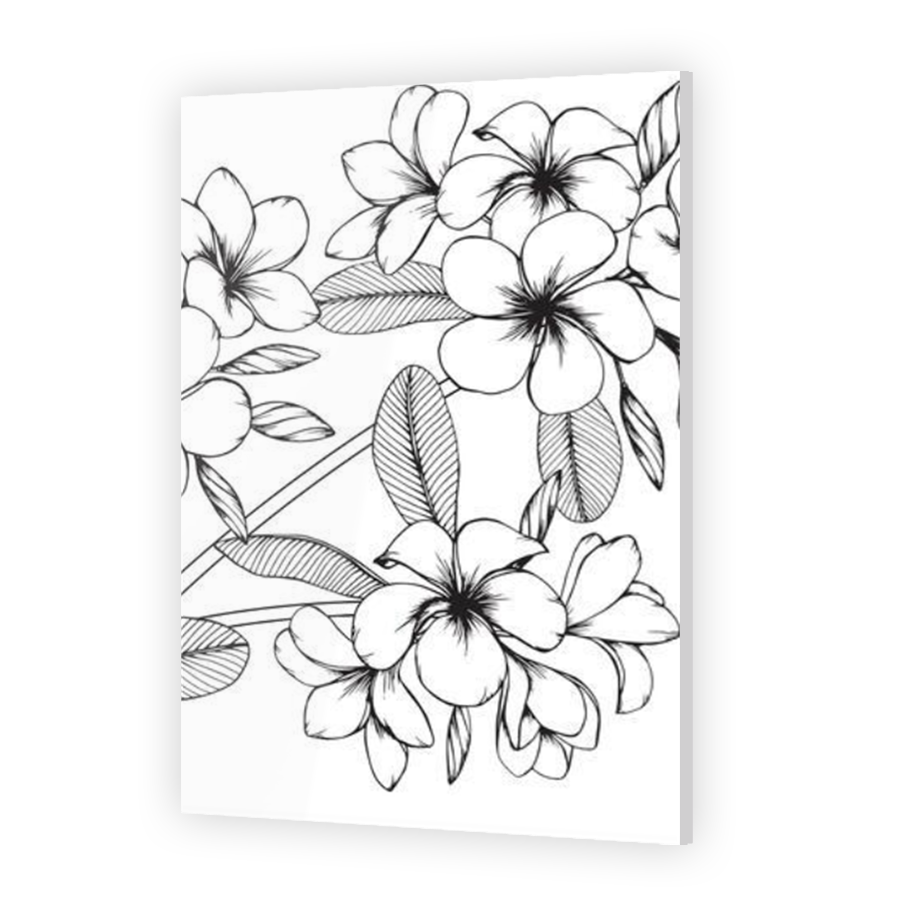 Thumbnail for Acrylic