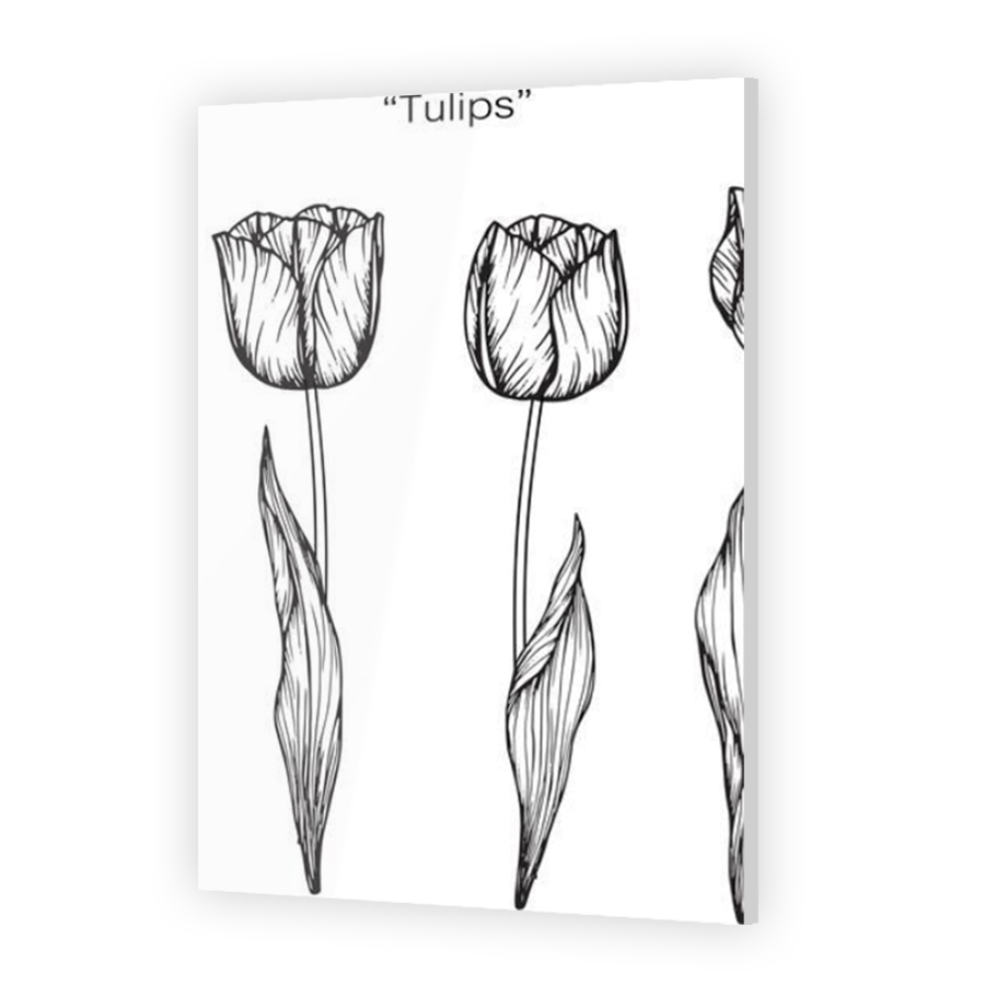 Thumbnail for Acrylic