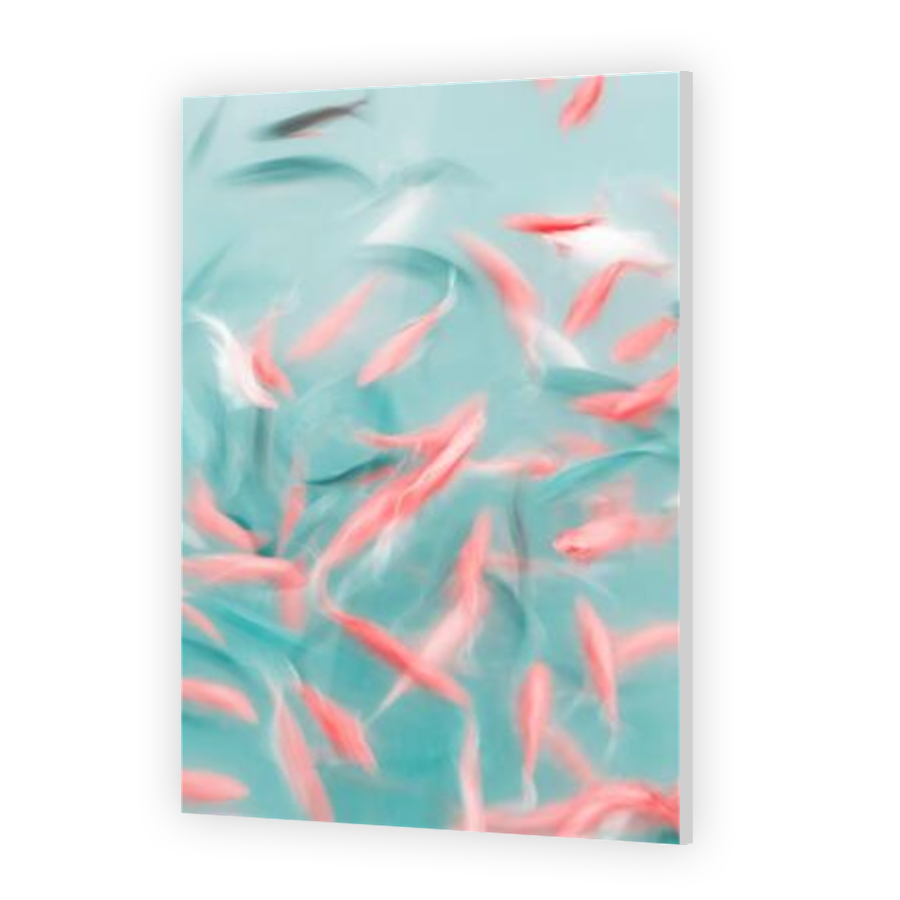Thumbnail for Acrylic