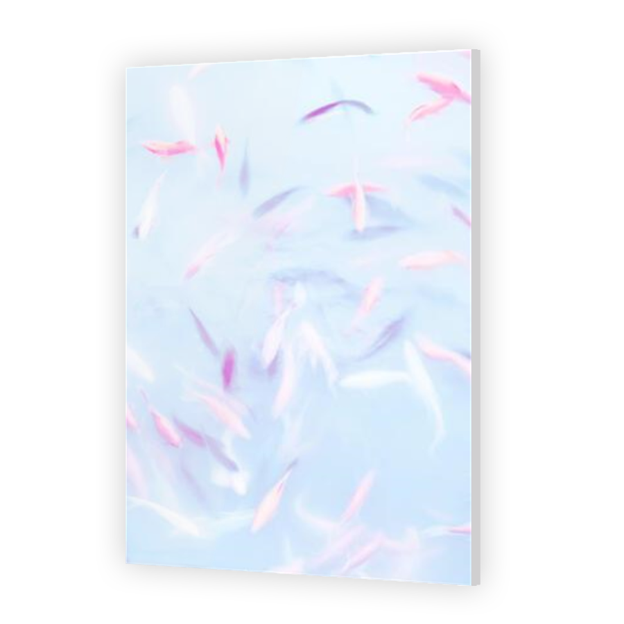 Thumbnail for Acrylic