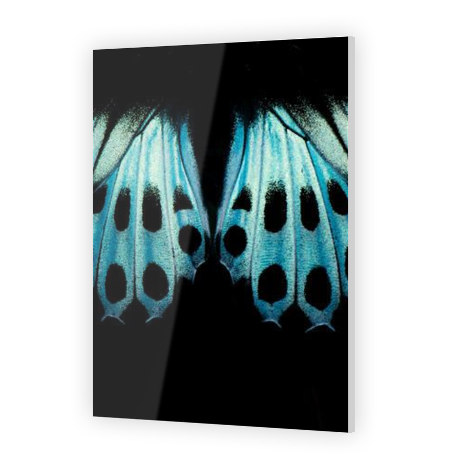 Thumbnail for Acrylic