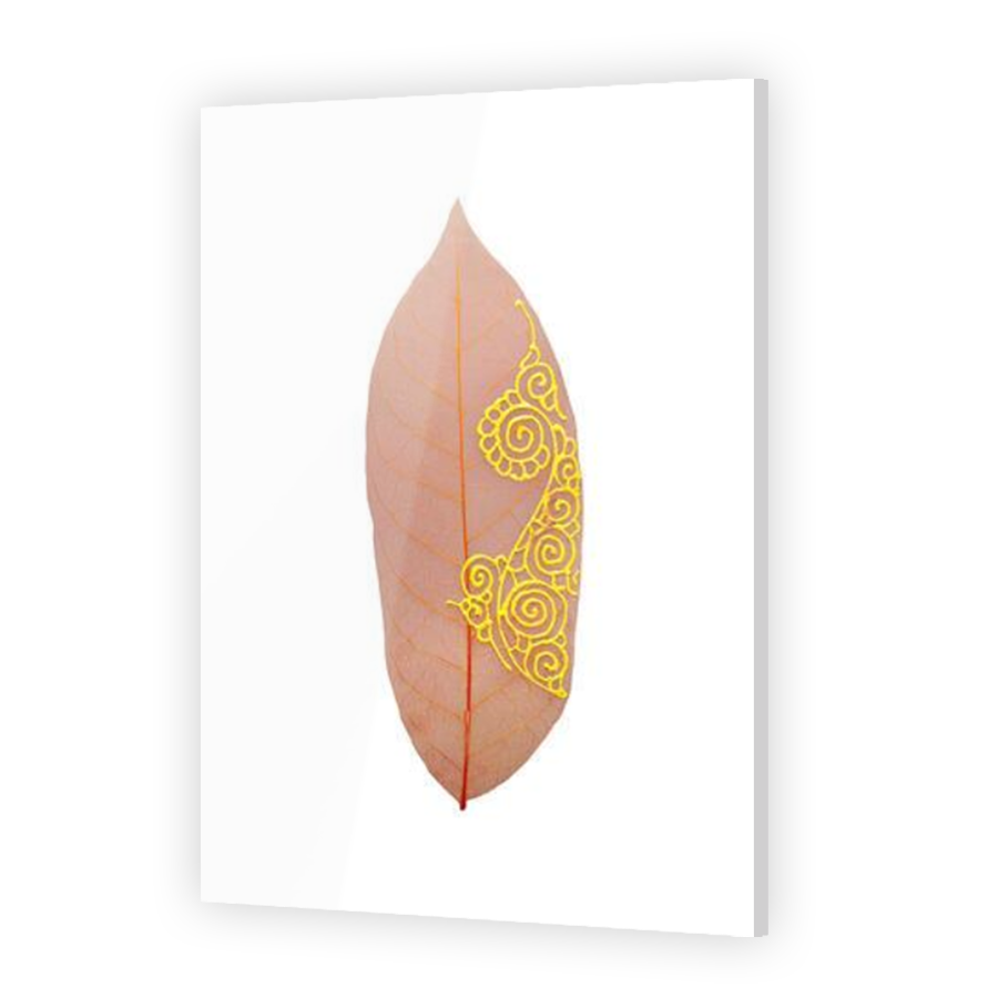 Thumbnail for Acrylic