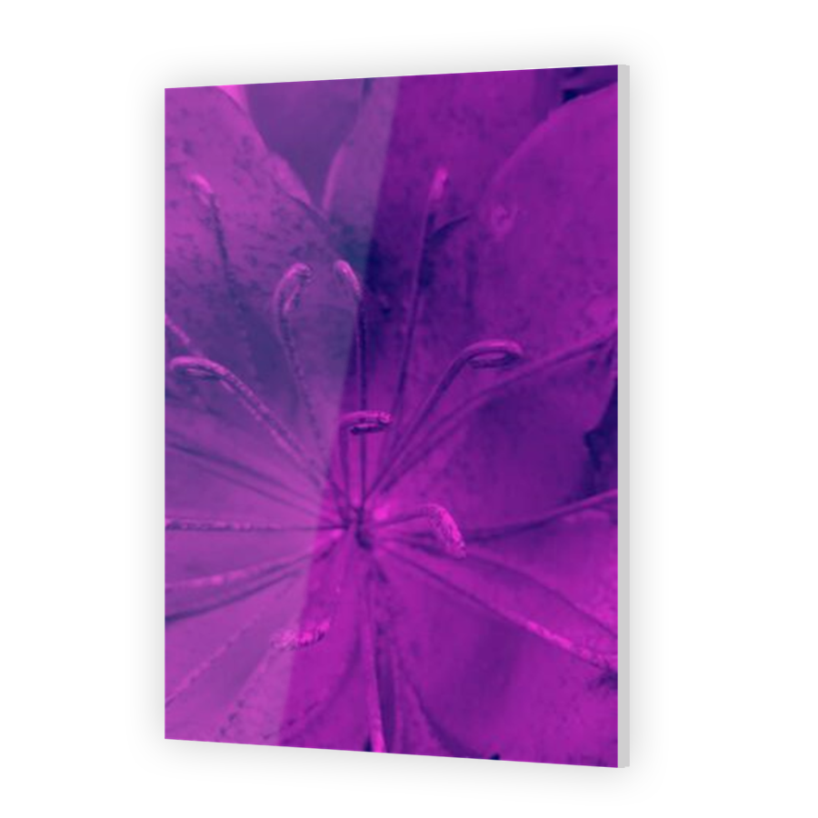 Thumbnail for Acrylic