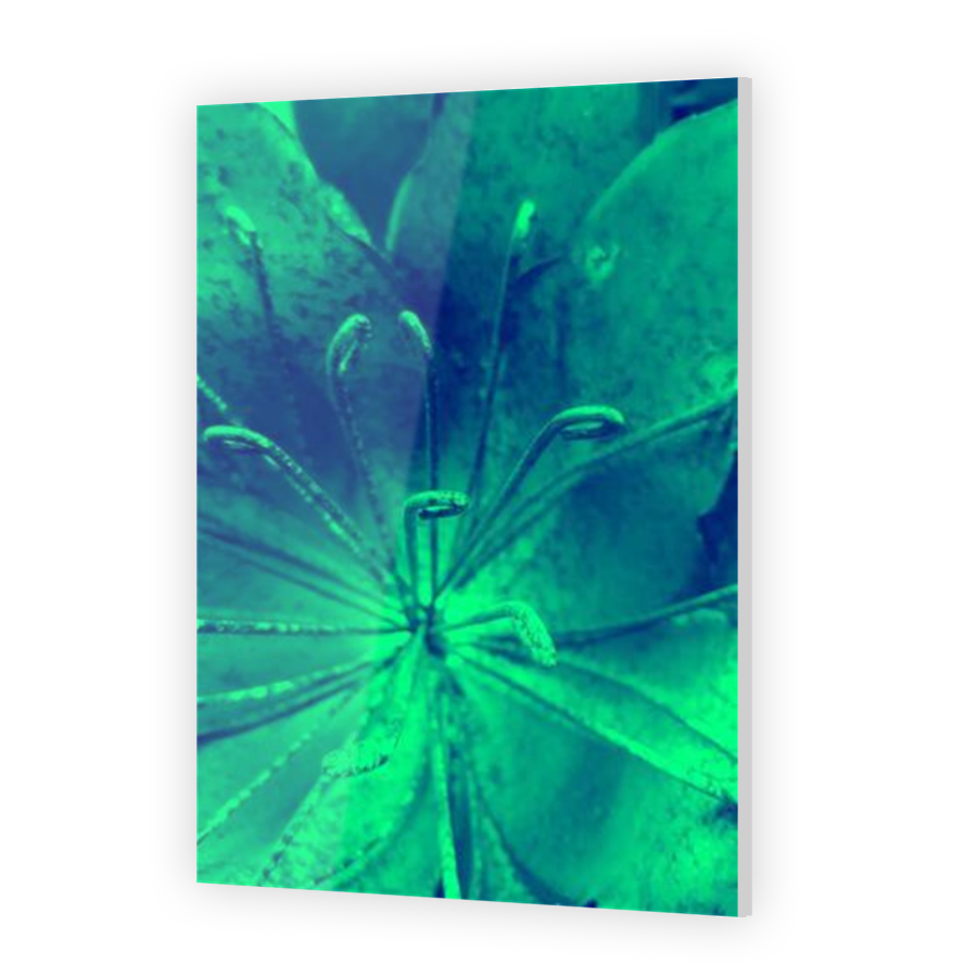 Thumbnail for Acrylic