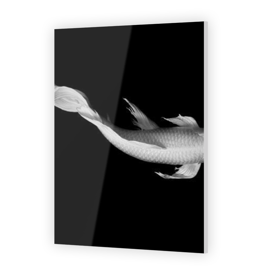 Thumbnail for Acrylic