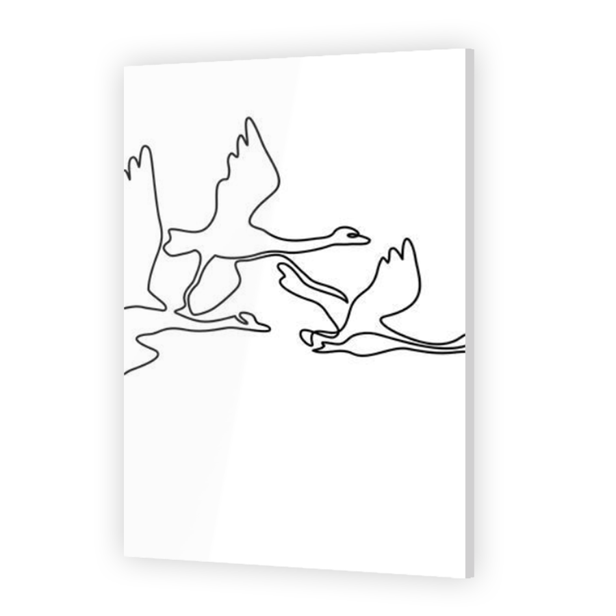 Thumbnail for Acrylic