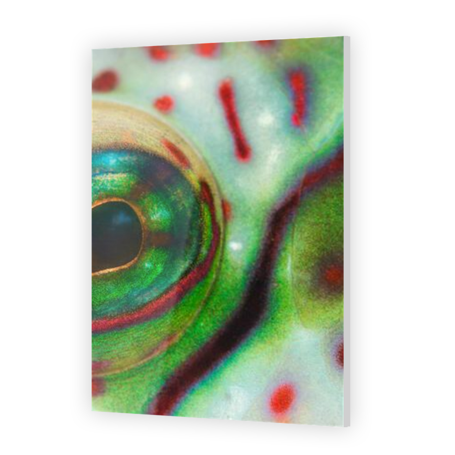 Thumbnail for Acrylic