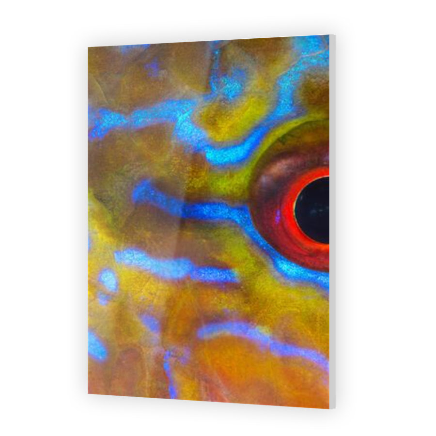 Thumbnail for Acrylic