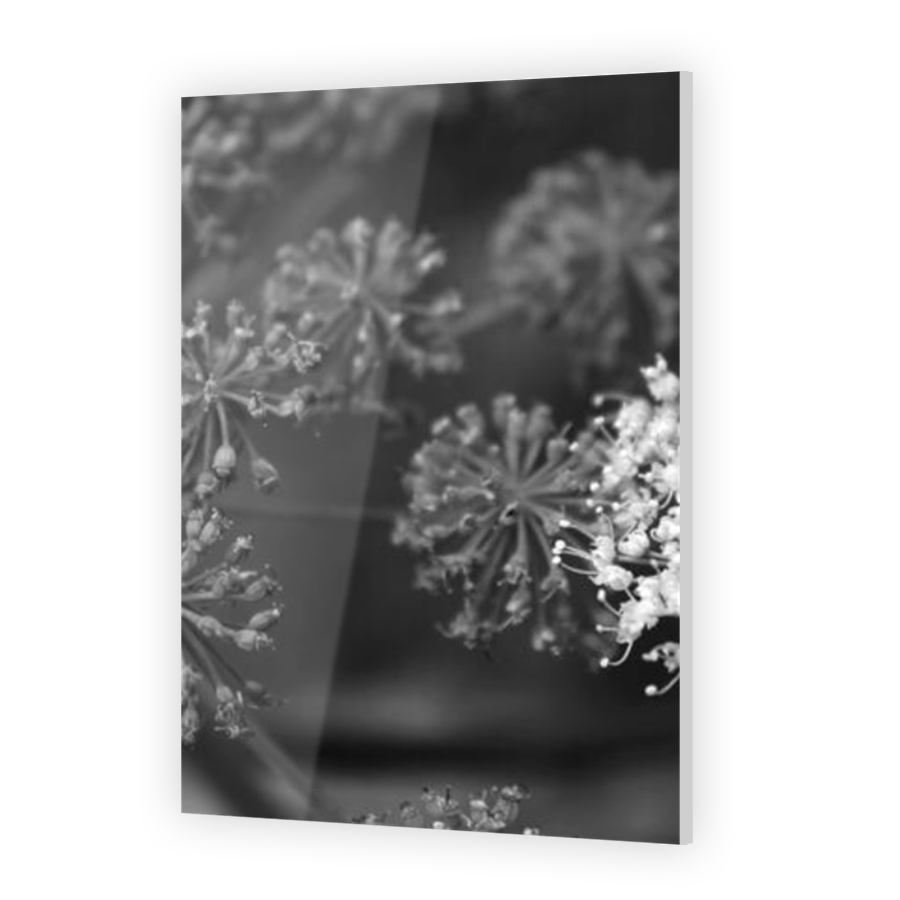 Thumbnail for Acrylic