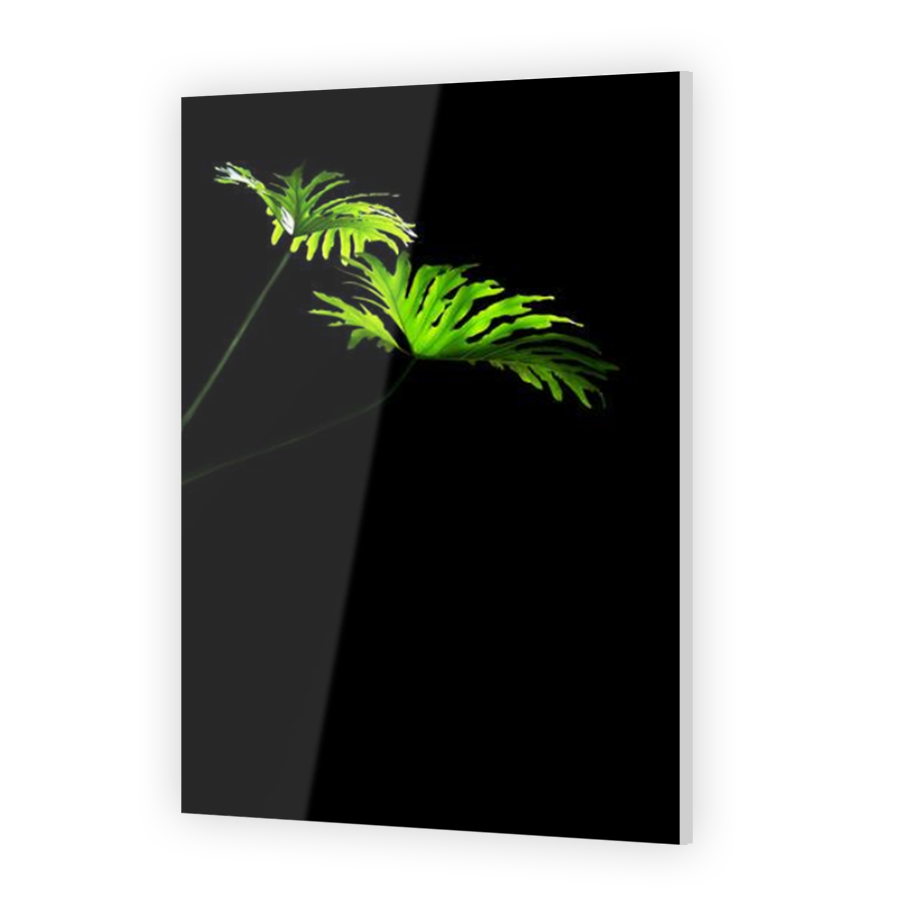 Thumbnail for Acrylic