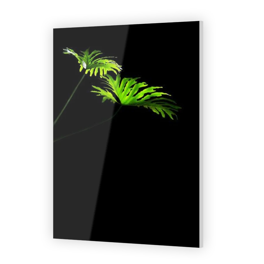 Thumbnail for Acrylic