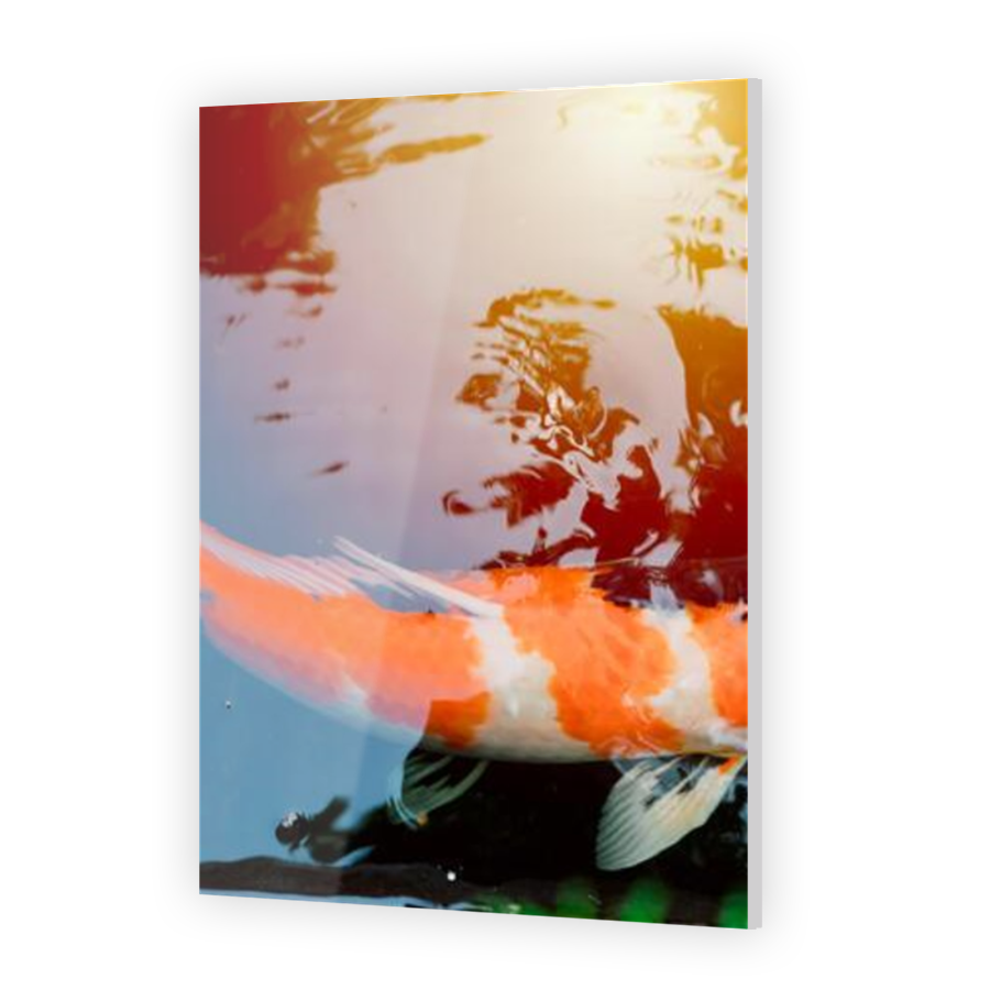 Thumbnail for Acrylic