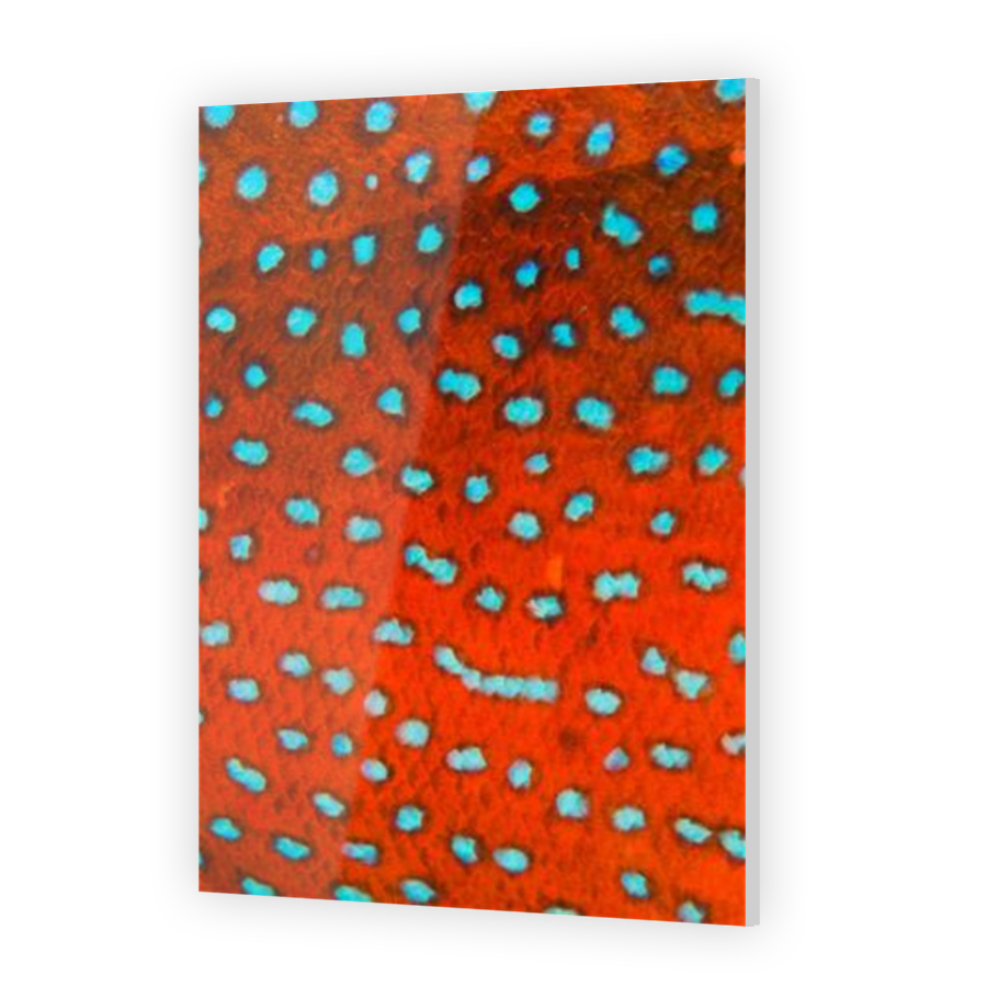 Thumbnail for Acrylic