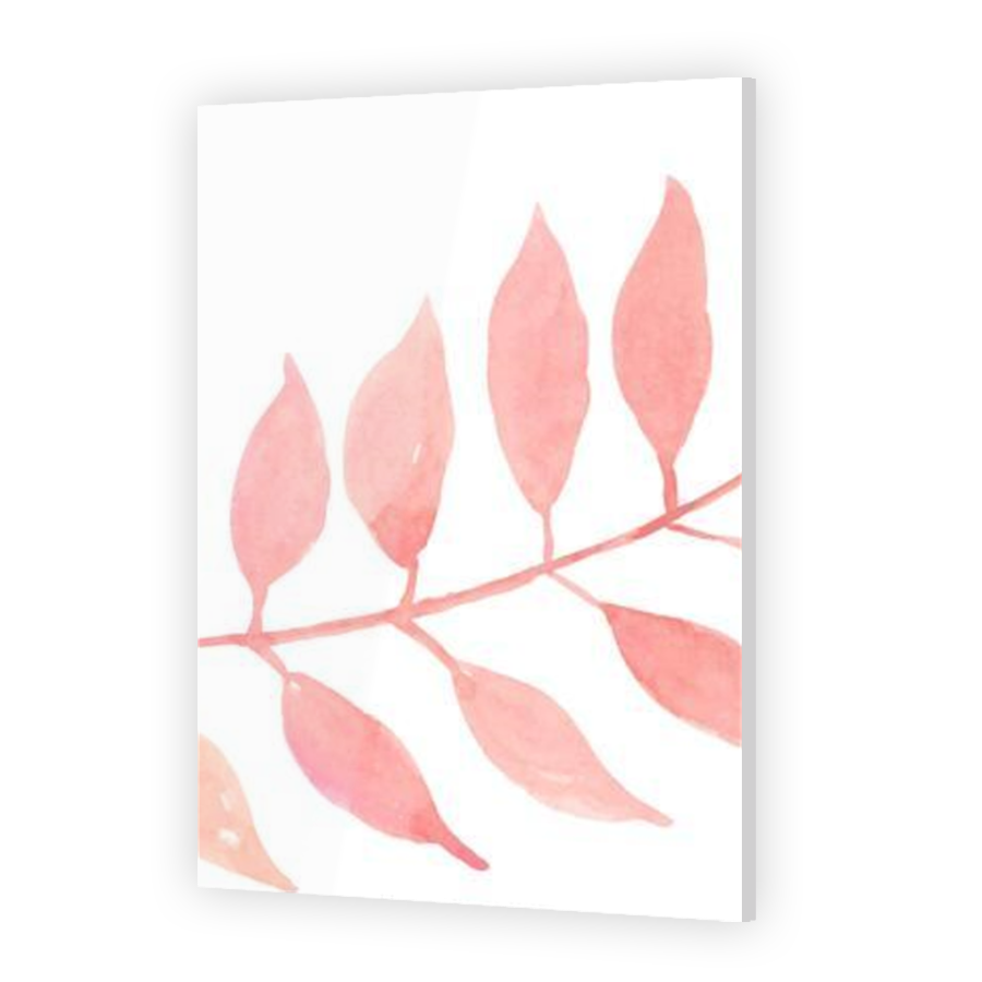 Thumbnail for Acrylic