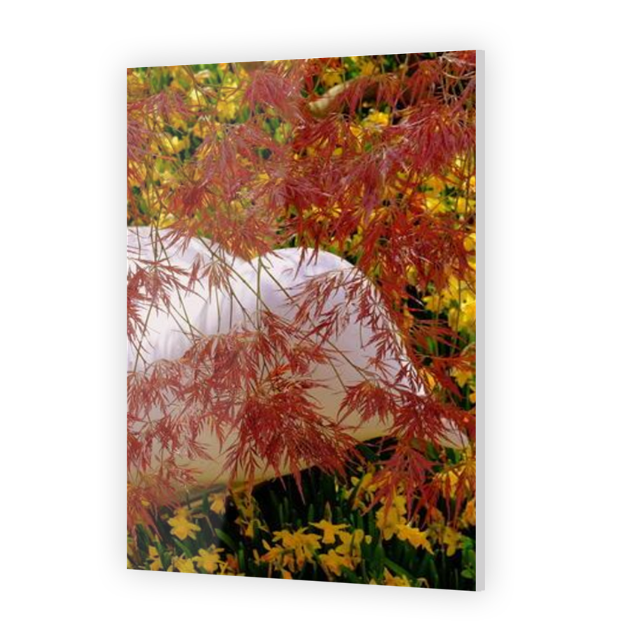Thumbnail for Acrylic