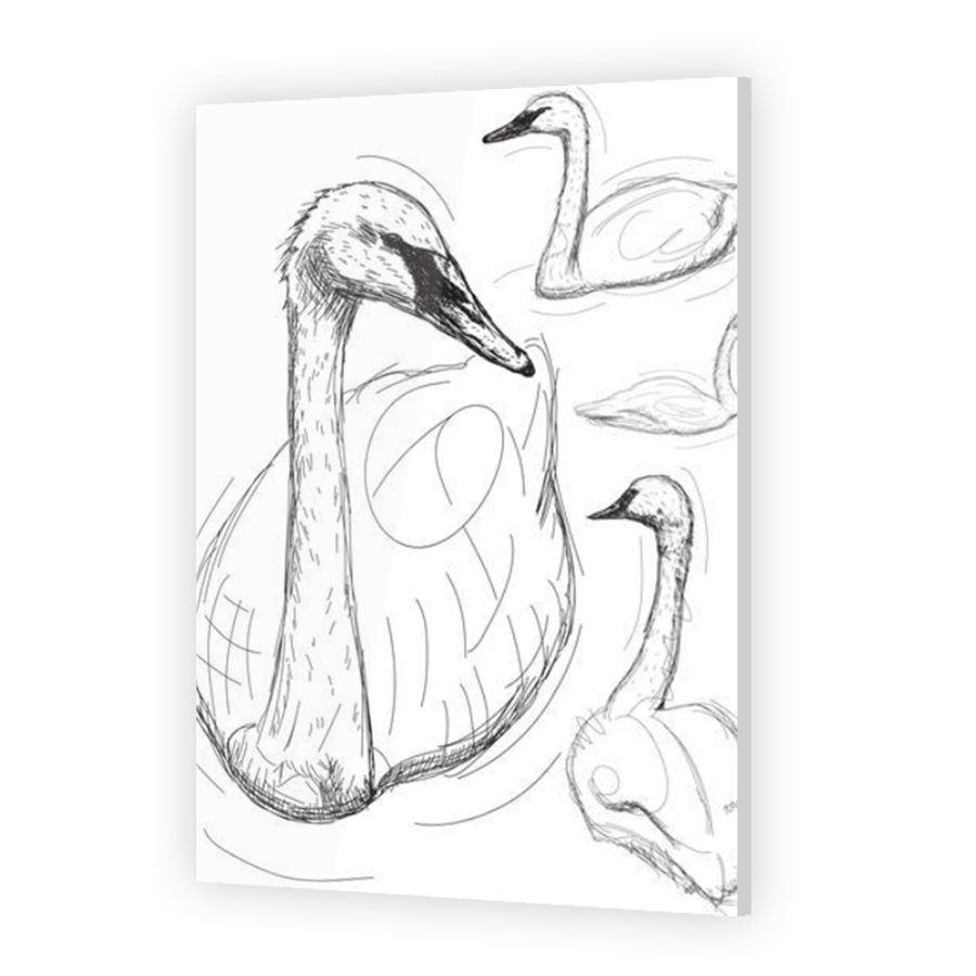 Thumbnail for Acrylic