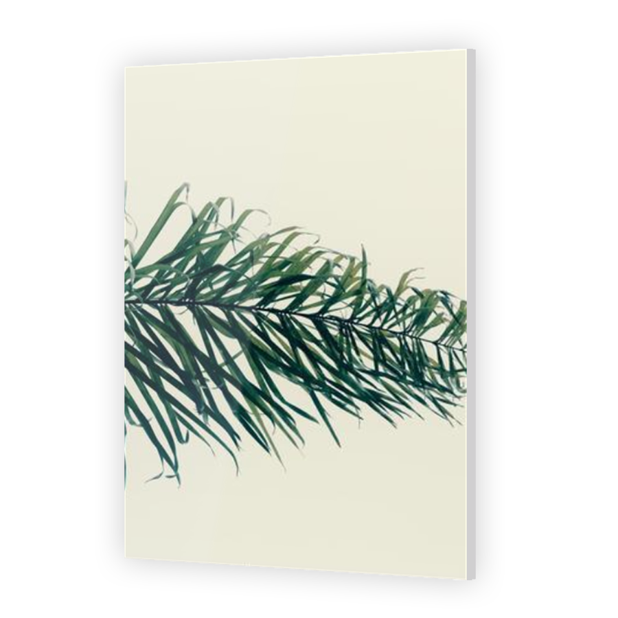 Thumbnail for Acrylic