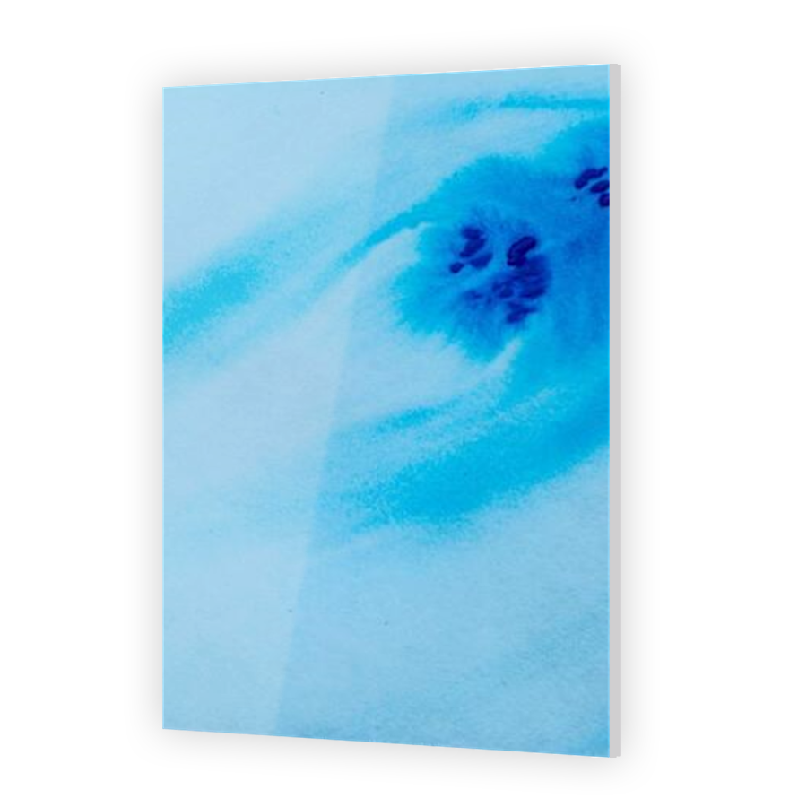 Thumbnail for Acrylic