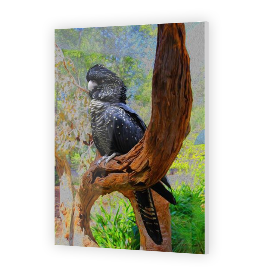 Thumbnail for Acrylic