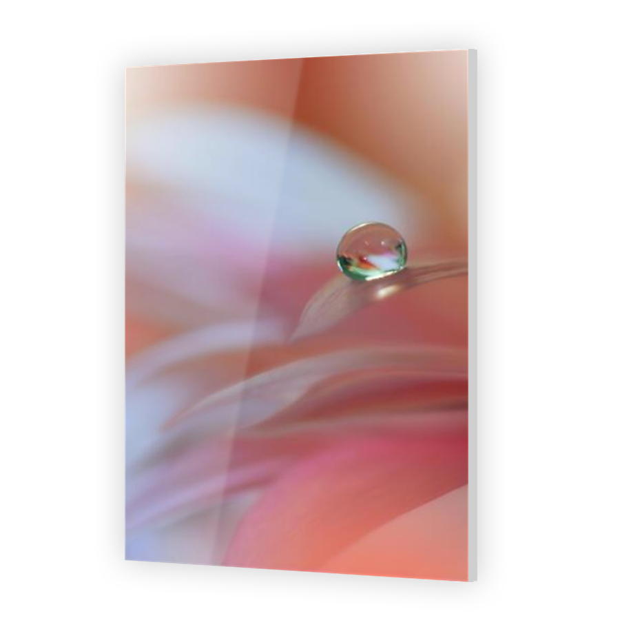 Thumbnail for Acrylic