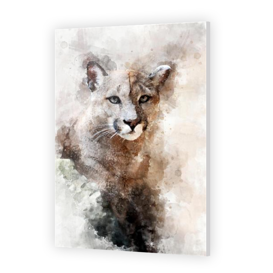 Thumbnail for Acrylic