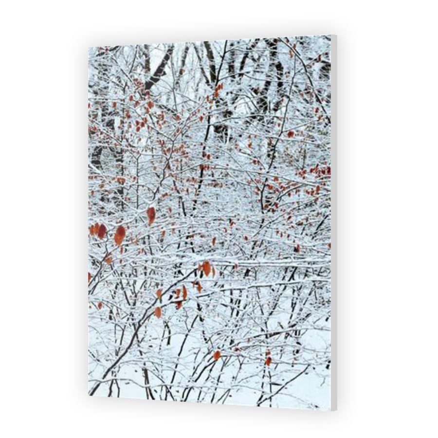 Thumbnail for Acrylic
