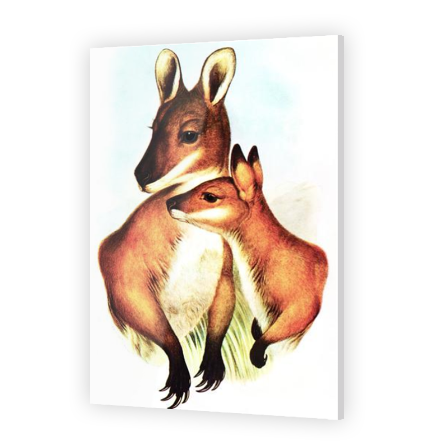 Thumbnail for Acrylic