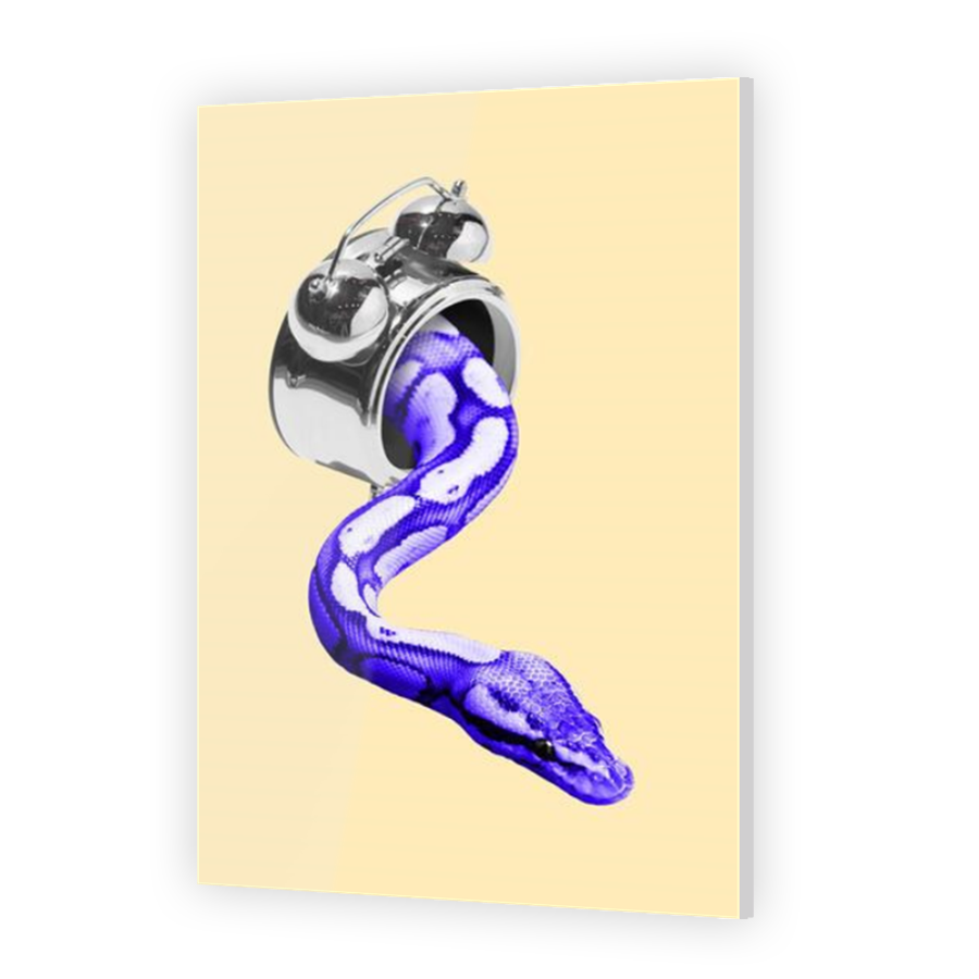Thumbnail for Acrylic