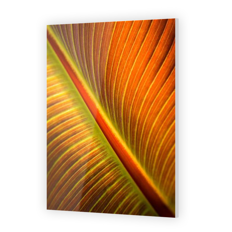 Thumbnail for Acrylic