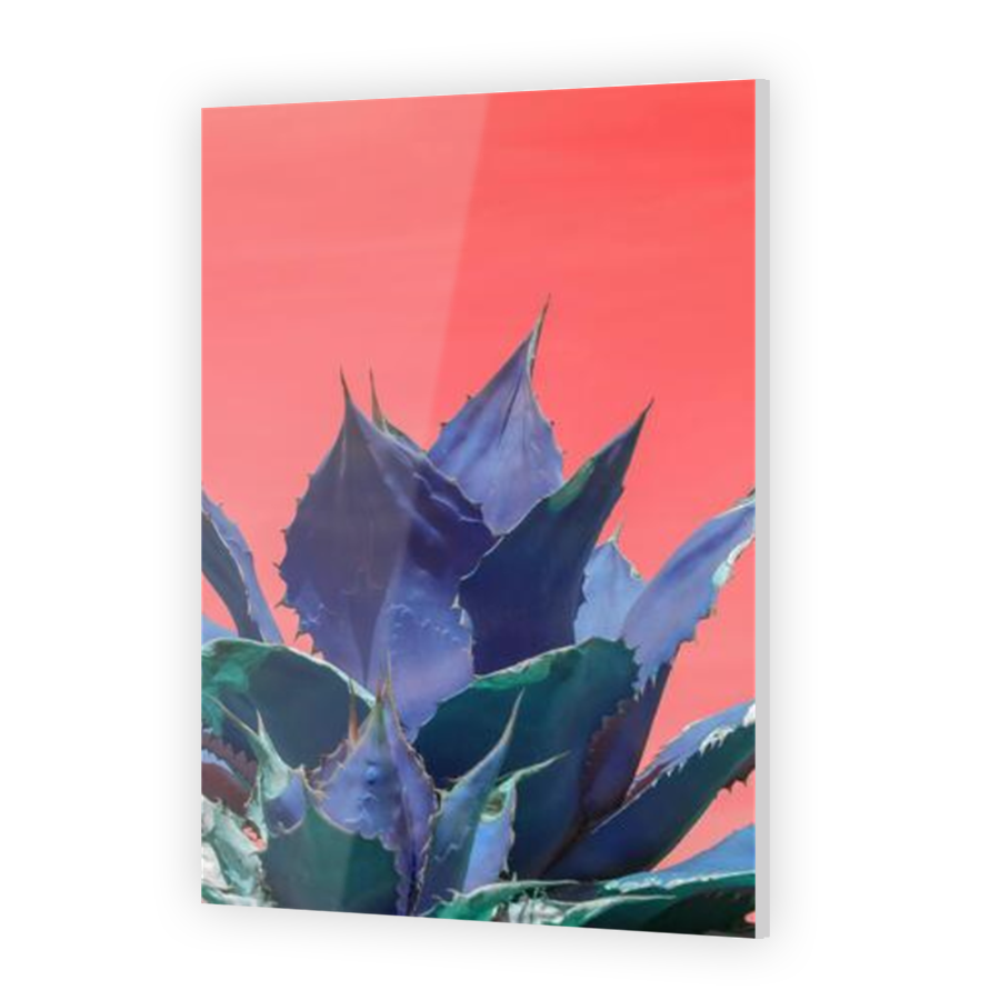 Thumbnail for Acrylic