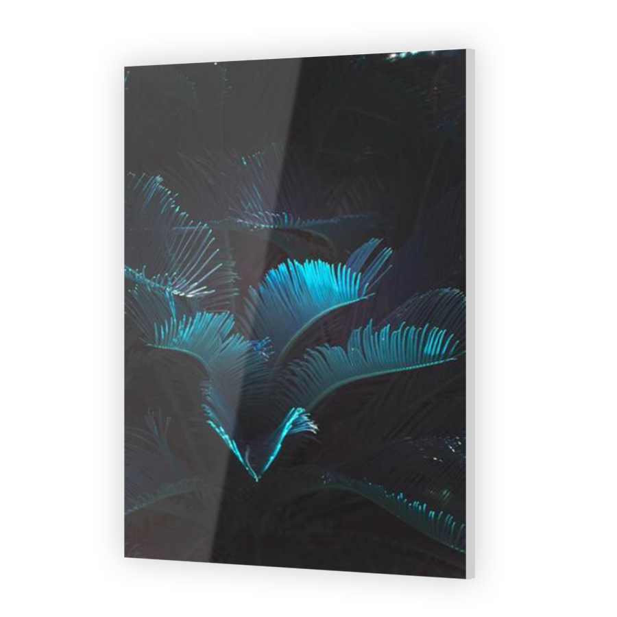 Thumbnail for Acrylic