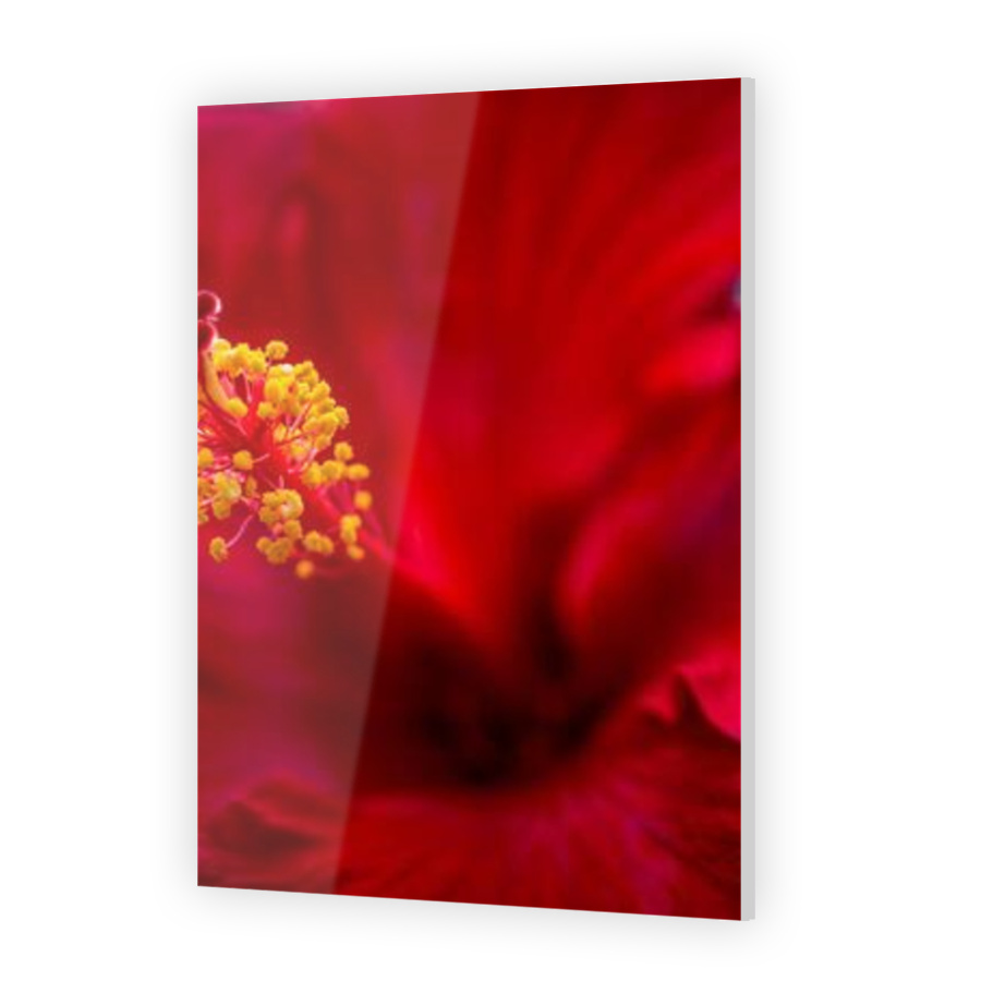 Thumbnail for Acrylic